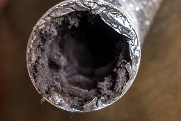 Best Residential Air Duct Cleaning  in Robins, IA